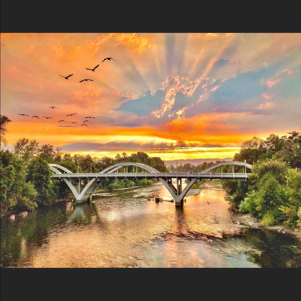 Meet your Posher, Tracy